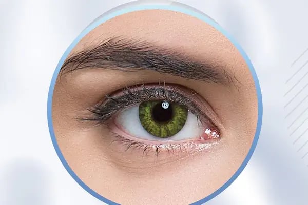 BOX OPTİK - Resim 19