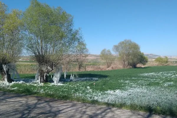 Doğal Bahçe Köy Kahvaltısı ve Yöresel Lezzetler - Resim 4