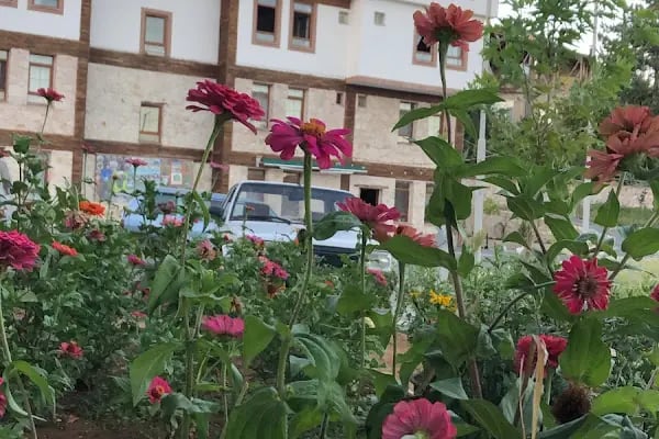 Kaşkaloğlu Hotel - Resim 17