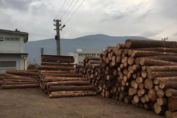 Gökboğa Orman Ürünleri - Resim 15