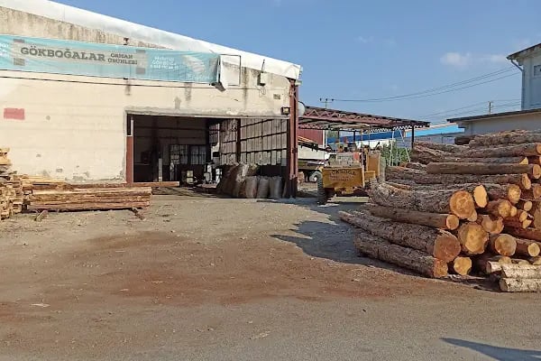Gökboğa Orman Ürünleri - Resim 14