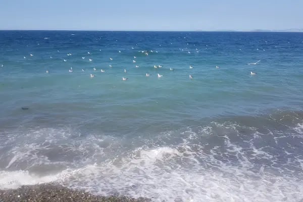 Çınarcık Plajı - Resim 19