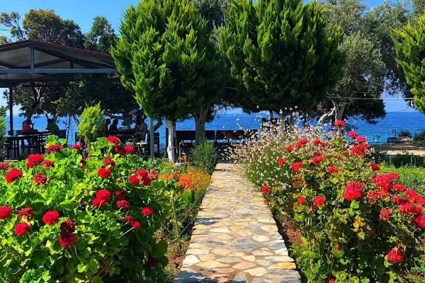 Mazı Eray Pansiyon - Resim 6