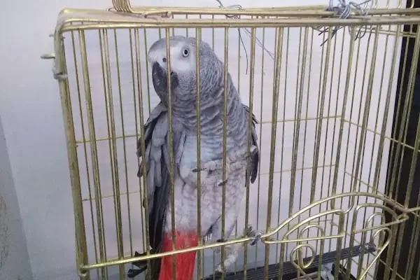 GRAND PET STORE - Resim 7