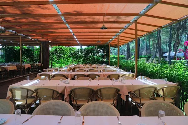 Anadolu Park Restorant - Resim 8