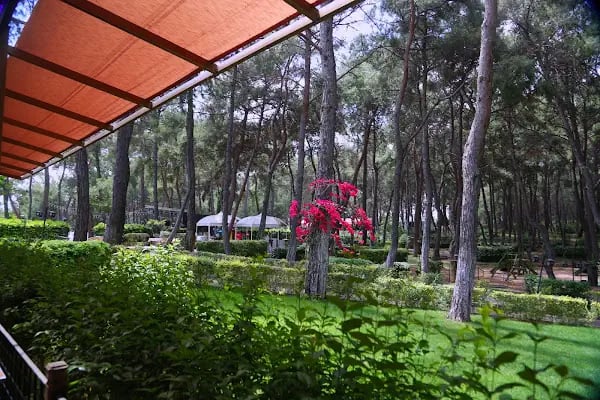 Anadolu Park Restorant - Resim 17