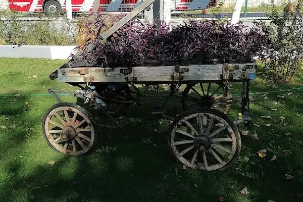 Palmiye Garden Kır Düğün Salonu - Resim 13