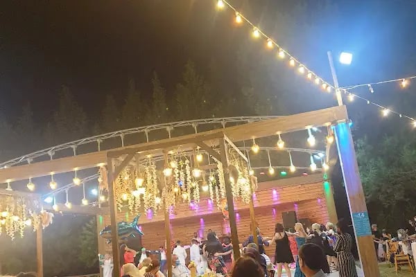 Palmiye Garden Kır Düğün Salonu - Resim 2