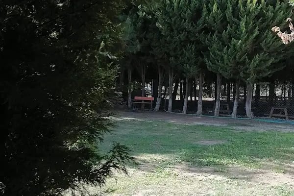 Palmiye Garden Kır Düğün Salonu - Resim 20