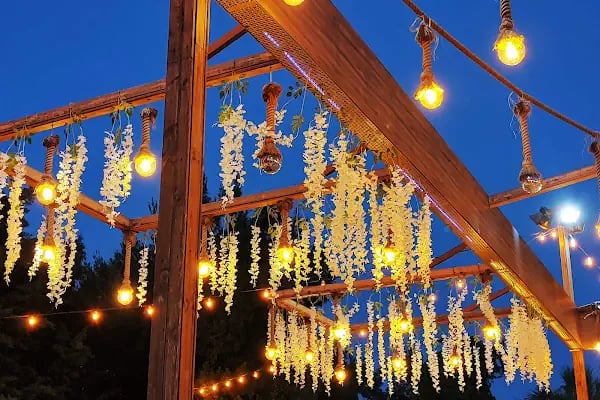 Palmiye Garden Kır Düğün Salonu - Resim 10