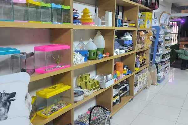 Uğur Petshop - Resim 12