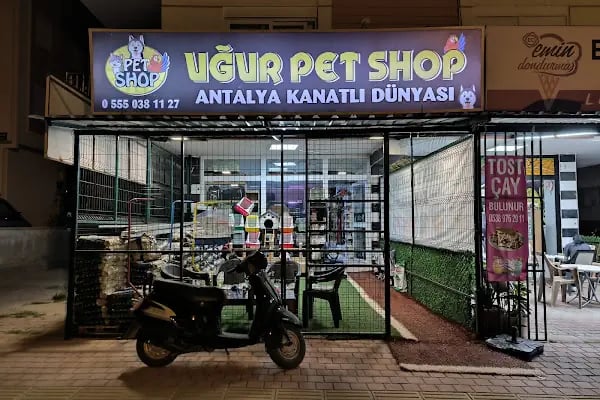 Uğur Petshop - Resim 6