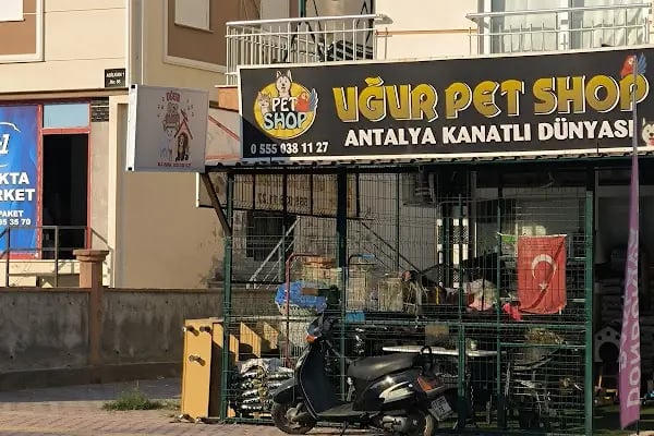 Uğur Petshop - Resim 4