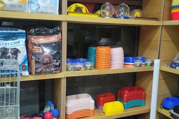 Uğur Petshop - Resim 18
