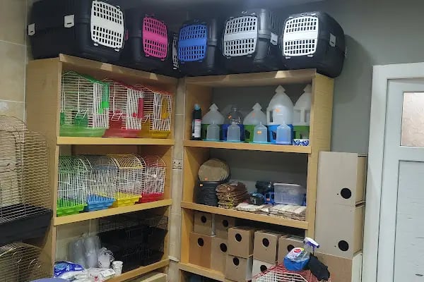 Uğur Petshop - Resim 15