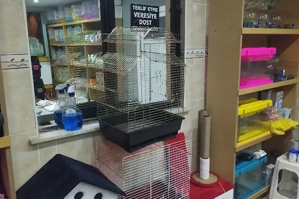 Uğur Petshop - Resim 10