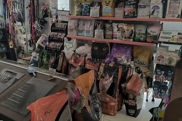 Uğur Petshop - Resim 5