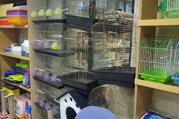 Uğur Petshop - Resim 9