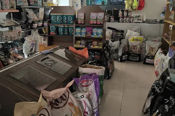 Uğur Petshop - Resim 20