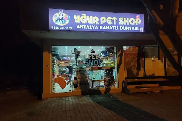 Uğur Petshop - Resim 19