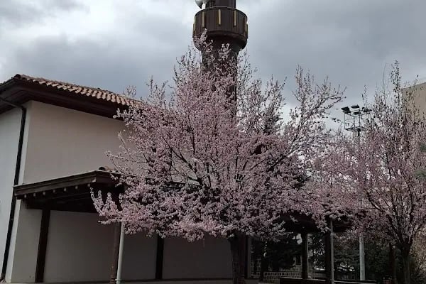 MEHMET ÇELEBİ CAMİİ - Resim 15