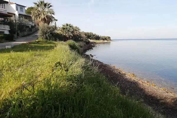 Pelitköy Bağlarburnu Sahili - Resim 7