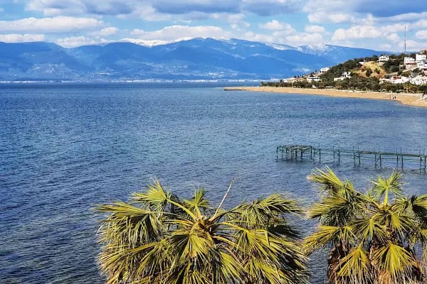 Pelitköy Bağlarburnu Sahili - Resim 10
