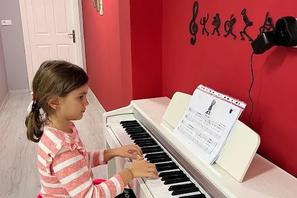 T.C. MEB Özel Piraye Sanat Akademi - Resim 4