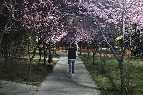 Ayakkabı Konsolosluğu - Resim 1