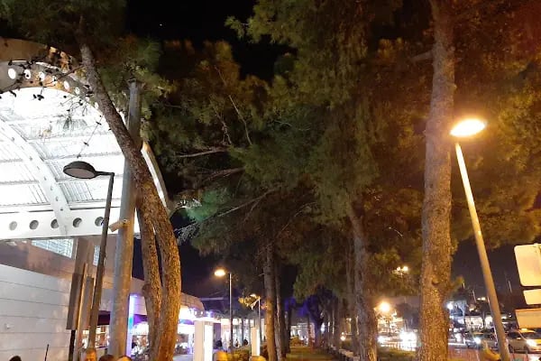 İç Hatlar Terminali - Resim 12