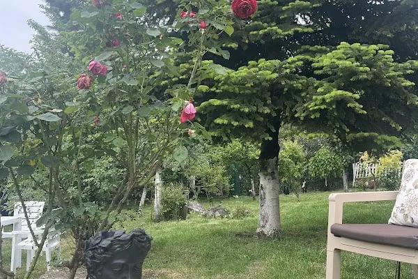 Bahar bahçe - Resim 5