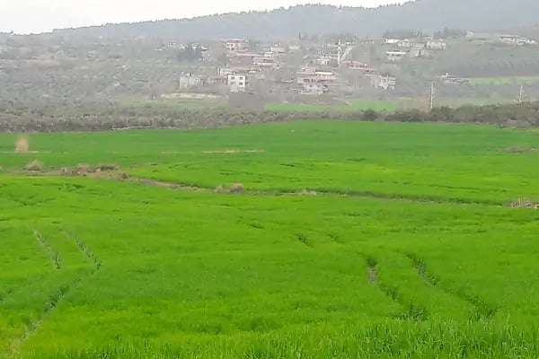 İbrâhim Sani Türbesi - Resim 16