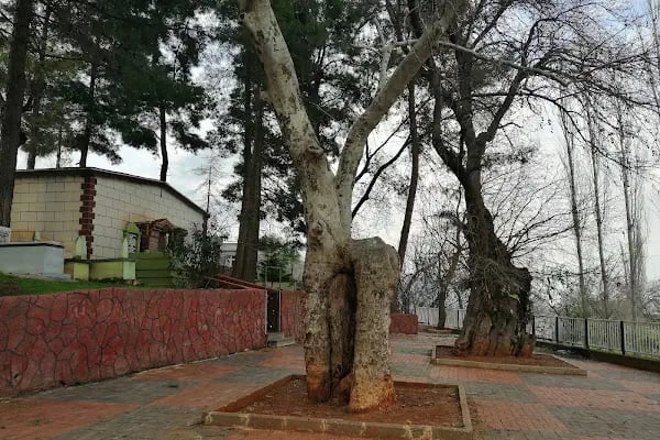 İbrâhim Sani Türbesi - Resim 8