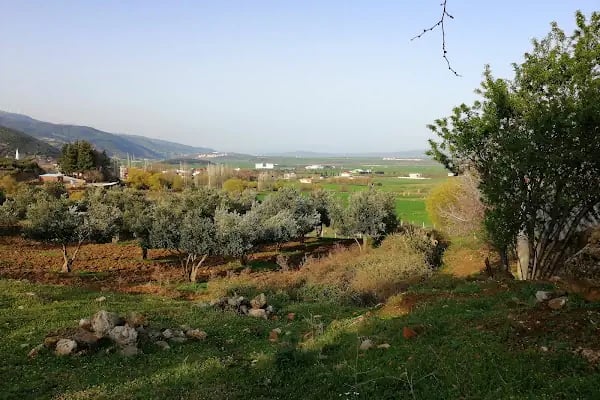 İbrâhim Sani Türbesi - Resim 7