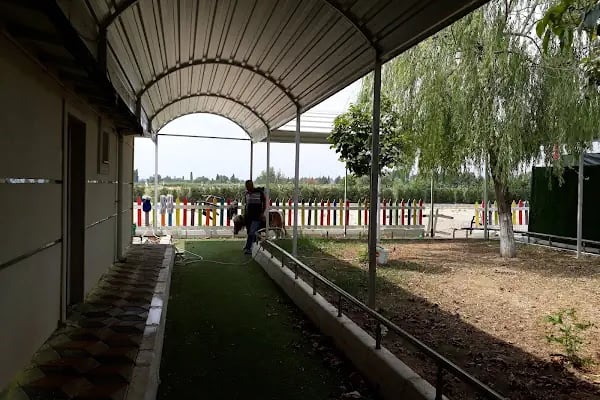 Erka Aktivite ve Yaşam Merkezi - Resim 4
