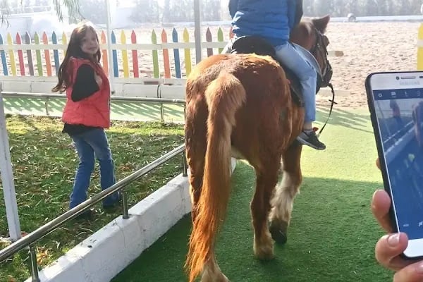 Erka Aktivite ve Yaşam Merkezi - Resim 19