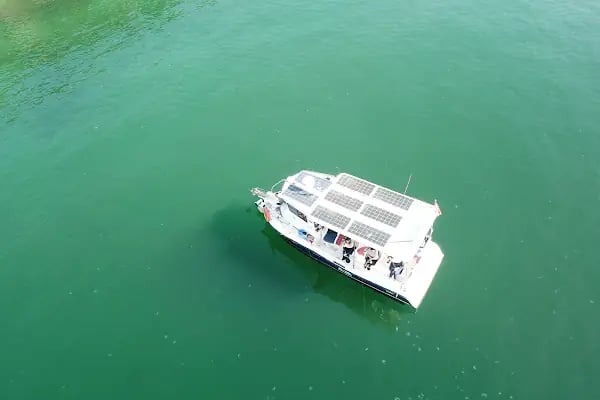 Ercü KAPTAN_Gemlik Olta Balık Avı Tekne Turları - Resim 11