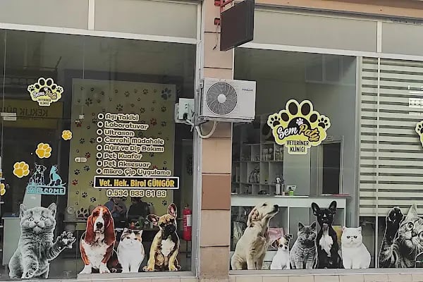 SemPaty Veteriner Kliniği - Resim 5