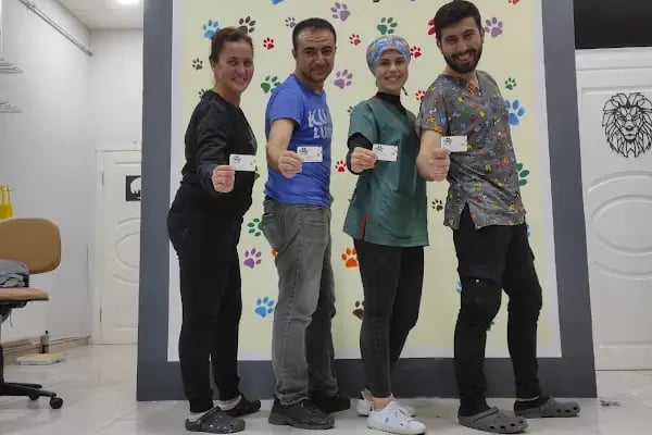 SemPaty Veteriner Kliniği - Resim 4