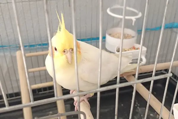 SemPaty Veteriner Kliniği - Resim 12