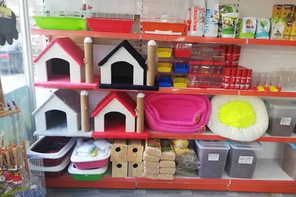 Ada petshop - Resim 10