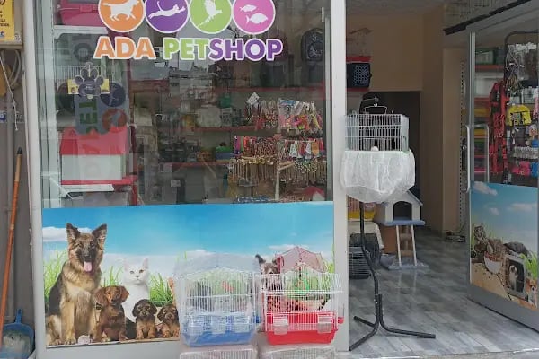 Ada petshop - Resim 19