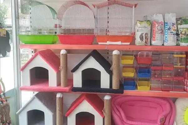 Ada petshop - Resim 7
