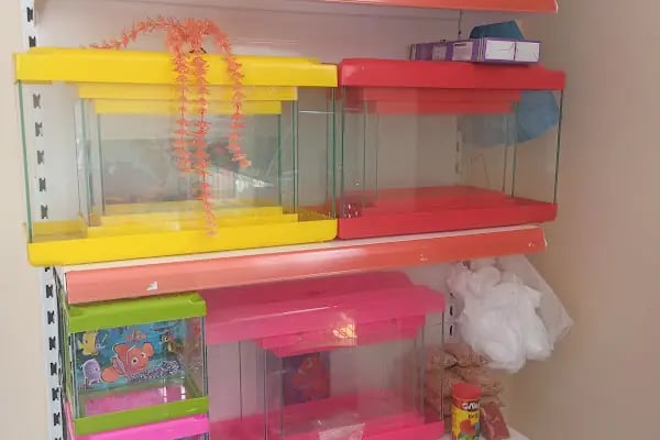 Ada petshop - Resim 11