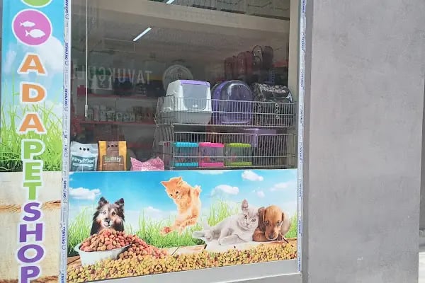 Ada petshop - Resim 20