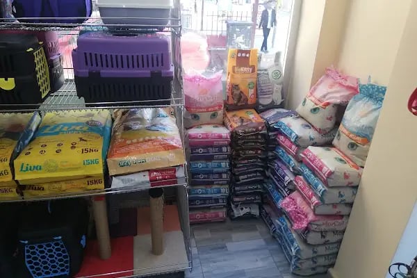 Ada petshop - Resim 14