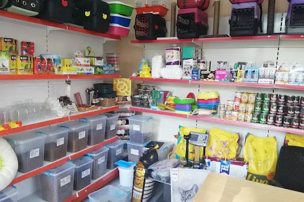 Ada petshop - Resim 4