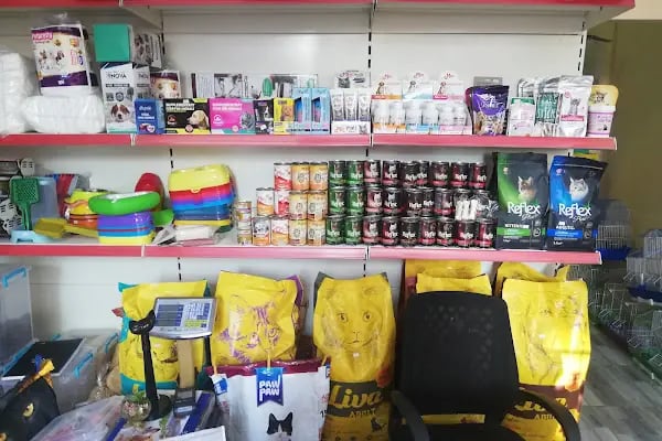 Ada petshop - Resim 8