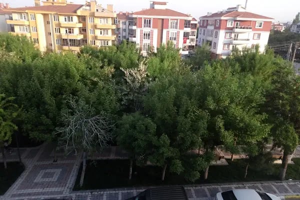 Plevne Aile Parkı - Resim 10