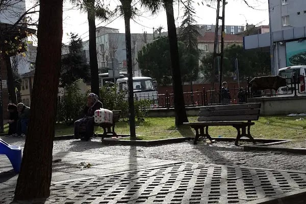 BAĞCILAR BELEDİYESİ M.ASIM HACIMUSTAFAOĞLU PARKI - Resim 6